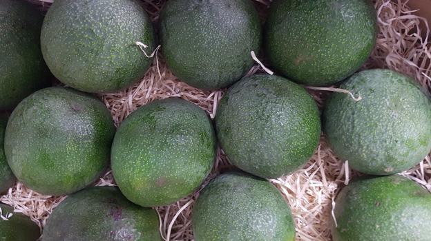 Como madurar un aguacate ya cortado